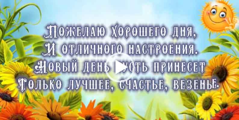 Хорошего дня и отличного настроения. Скачать пожелания бесплатно.