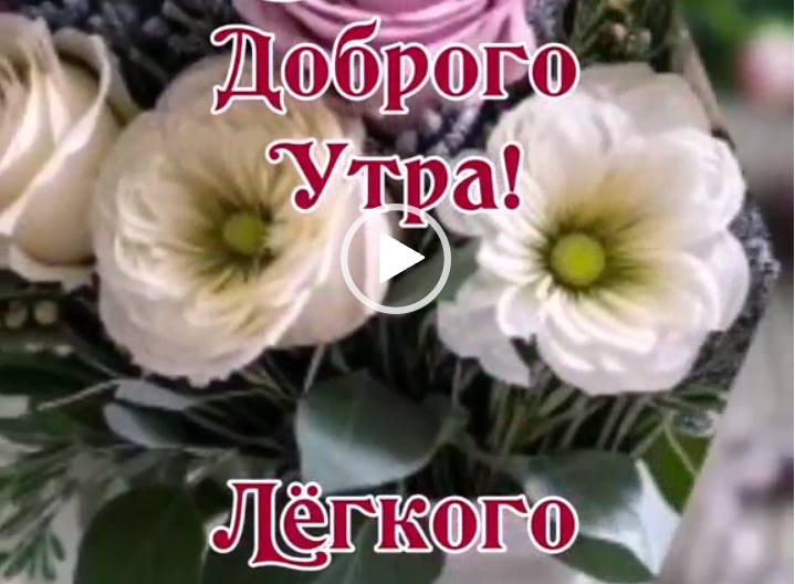 Удачного четверга. Скачать видео пожелание.