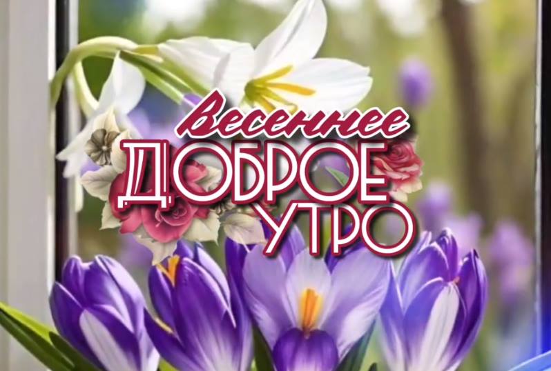 Весеннее доброе утро среды