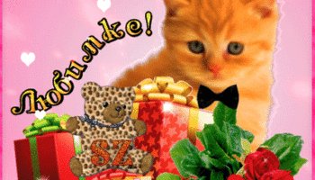 Милая открытка Любимке. Открытка с котиком и цветами.