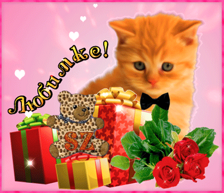 Милая открытка Любимке. Открытка с котиком и цветами.