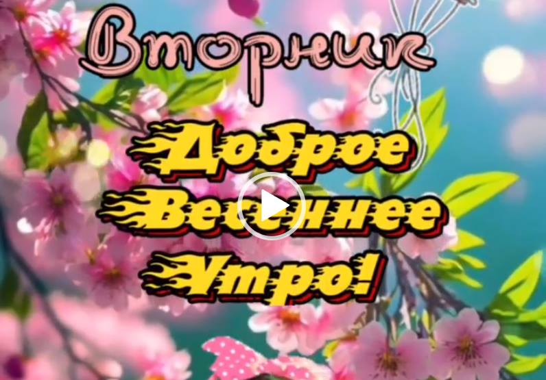 Вторник. Доброе весеннее утро. Видео пожелание.