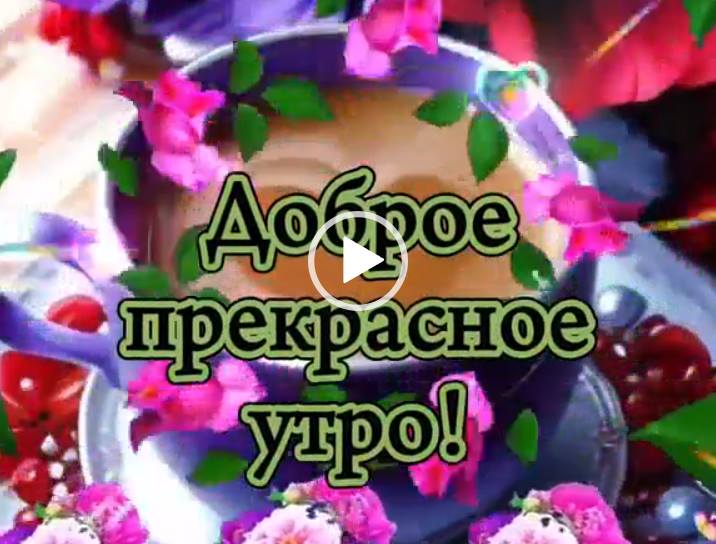 Видео открытка Прекрасного пятничного утра! Скачать.