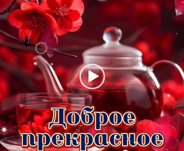 Среда доброе утро! Видео пожелание на среду. Скачать.